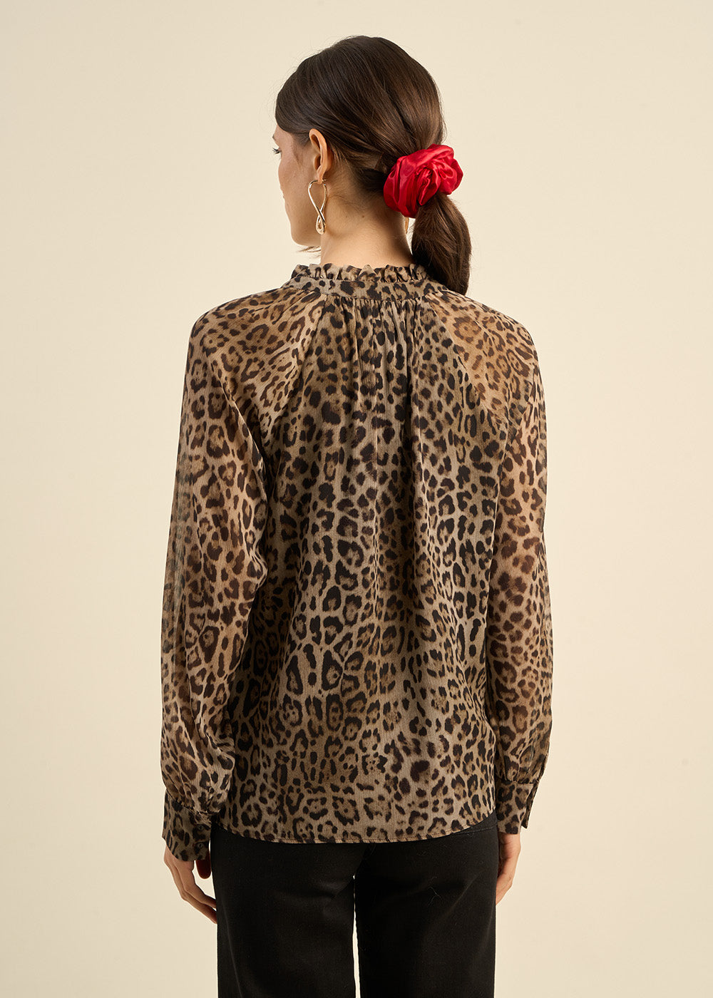 files/35976_CAME_C_820fe0ef-ea36-439c-838a-502174d93bc1.jpg - Sud Express