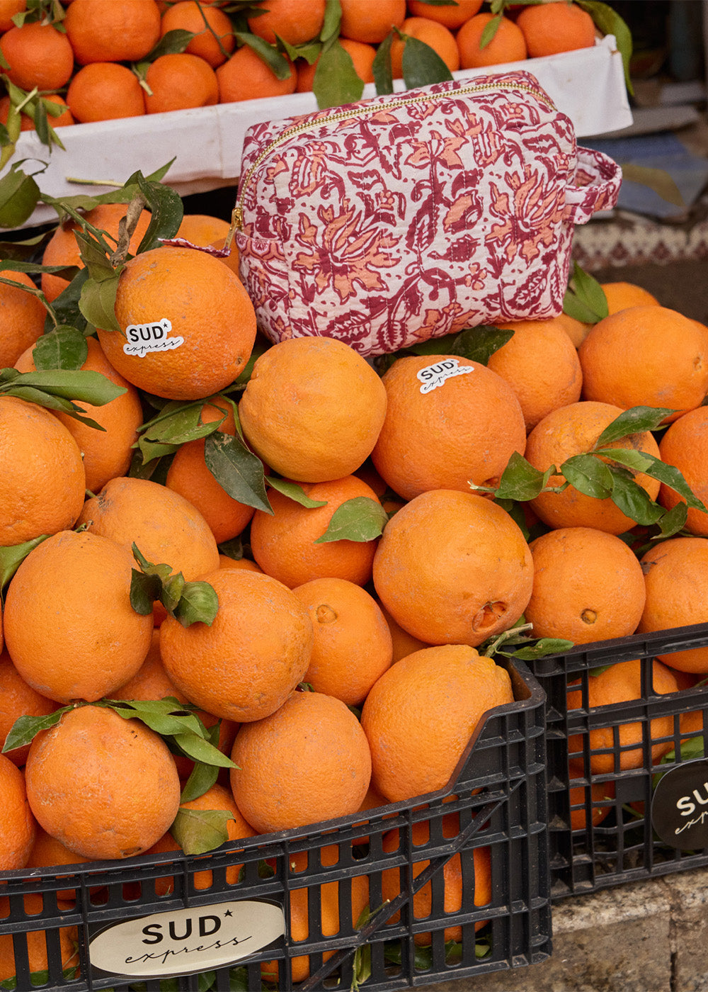 files/36877_BDRO_B_39a3d581-36c7-4ec3-8e14-87dcf88f35c3.jpg - Sud Express