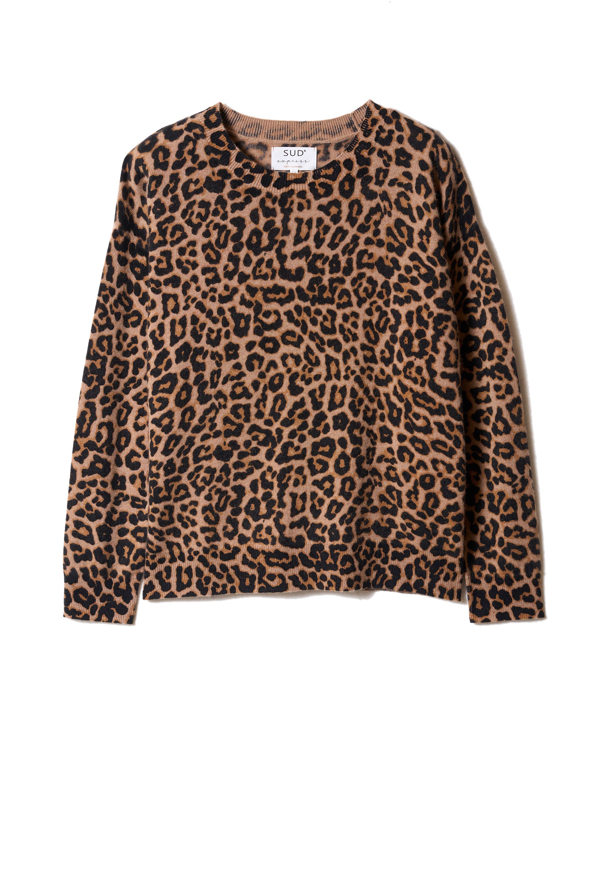 files/37169_CAME_H_c687ee31-0b4c-485a-acd6-3bd262a2e9ca.jpg - Sud Express