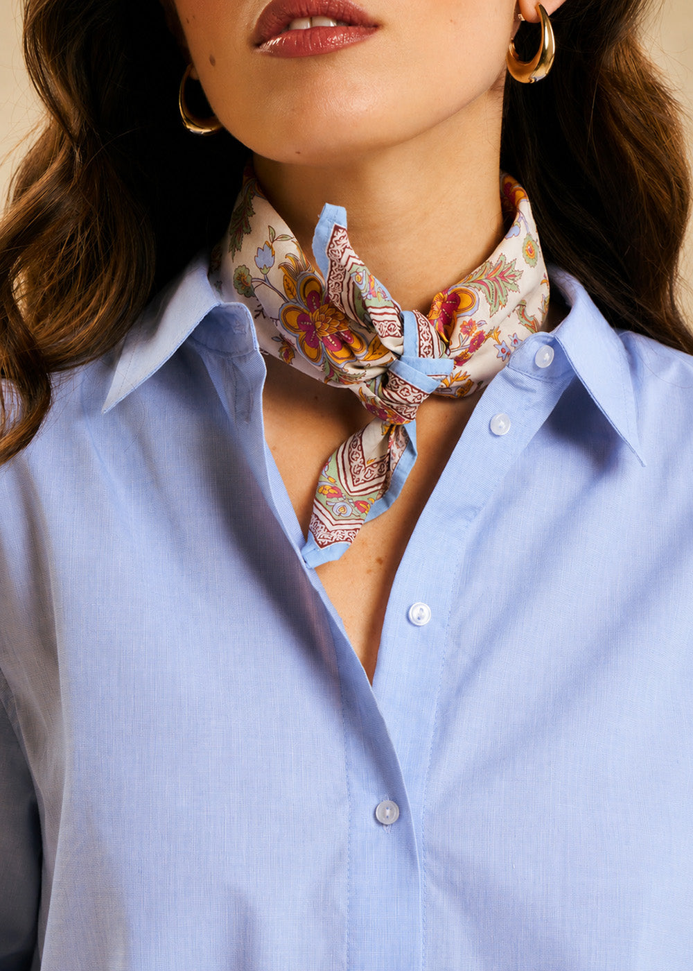Chemise coton oxford - Sud Express - 2 - Sud Express